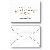Gift Card Envelope Style B Custom Printed