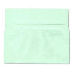 #9 Bangtail Bank-by-mail envelope in green stock shown here face side out with flaps extended.