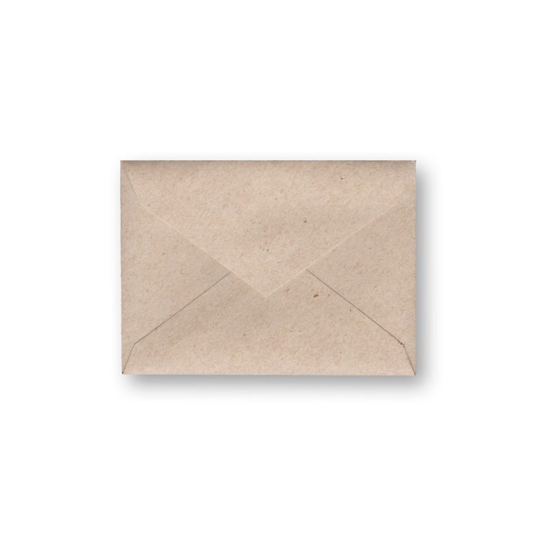 Gift Card Envelope Style B in Desert Storm Sheppard Envelope
